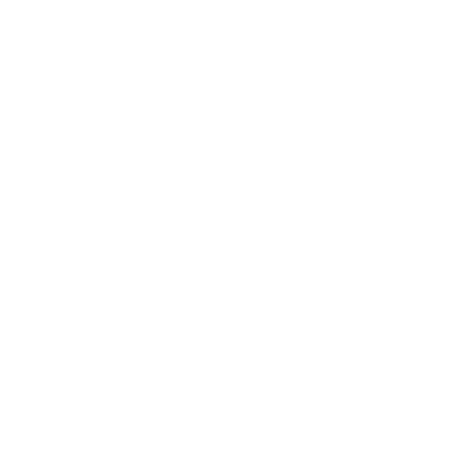 Napa_Whitescaled_v1.1_Logo